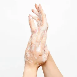 Adopt On Se Detend New