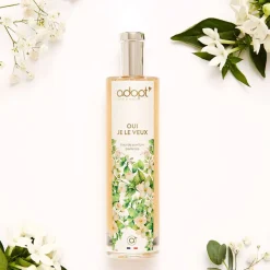 Adopt Oui Je Le Veux