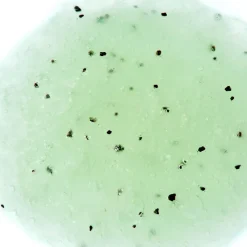Adopt Verveine Fizz Online
